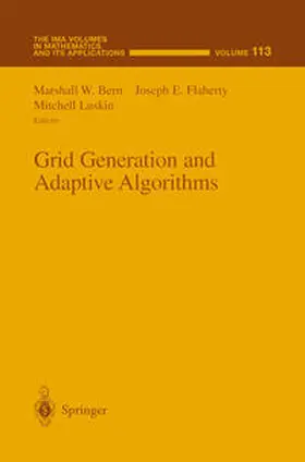 Bern / Flaherty / Luskin |  Grid Generation and Adaptive Algorithms | eBook | Sack Fachmedien