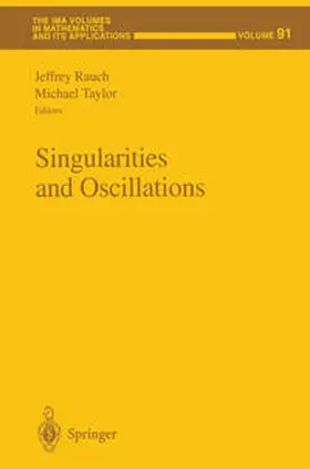 Rauch / Taylor | Singularities and Oscillations | E-Book | sack.de
