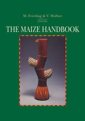 Freeling / Walbot |  The Maize Handbook | eBook | Sack Fachmedien