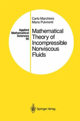 Marchioro / Pulvirenti | Mathematical Theory of Incompressible Nonviscous Fluids | E-Book | sack.de