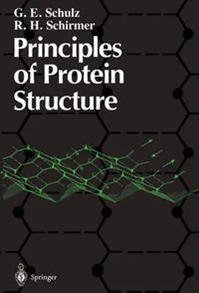 Schulz / Schirmer |  Principles of Protein Structure | eBook | Sack Fachmedien