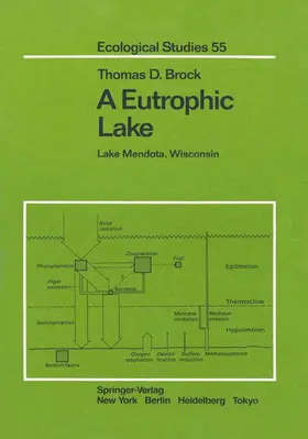 Brock |  A Eutrophic Lake | Buch |  Sack Fachmedien
