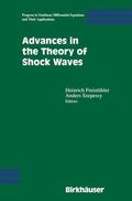 Szepessy / Freistühler |  Advances in the Theory of Shock Waves | Buch |  Sack Fachmedien