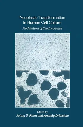 Dritschilo / Rhim |  Neoplastic Transformation in Human Cell Culture | Buch |  Sack Fachmedien