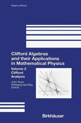 Sprößig / Ryan |  Clifford Algebras and their Applications in Mathematical Physics | Buch |  Sack Fachmedien