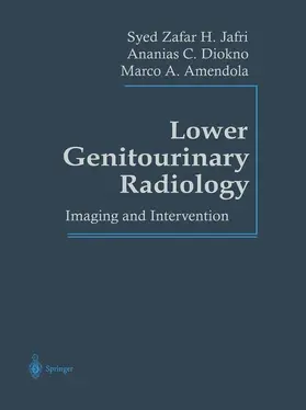 Jafri / Amendola / Diokno |  Lower Genitourinary Radiology | Buch |  Sack Fachmedien