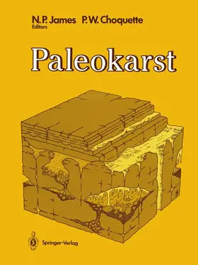James / Choquette | Paleokarst | Buch | 978-1-4612-8332-4 | www.sack.de