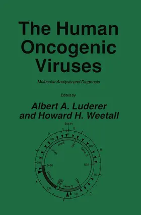 Luderer / Weetall | The Human Oncogenic Viruses | Buch | 978-1-4612-9393-4 | www.sack.de