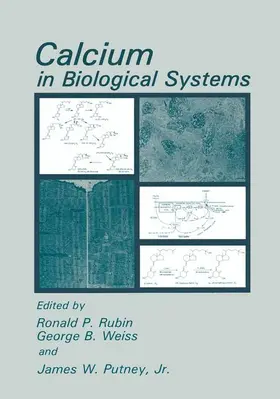 Rubin / Putney / Weiss |  Calcium in Biological Systems | Buch |  Sack Fachmedien