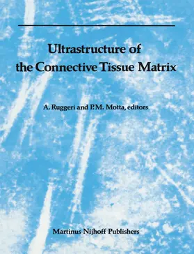 Motta / Ruggeri |  Ultrastructure of the Connective Tissue Matrix | Buch |  Sack Fachmedien
