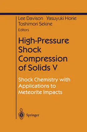 Davison / Horie / Sekine |  High-Pressure Shock Compression of Solids V | eBook | Sack Fachmedien