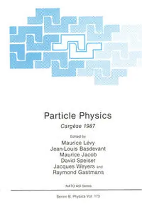 Levy | Particle Physics | E-Book | www.sack.de