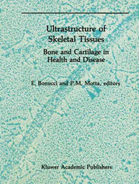 Bonucci / Motta |  Ultrastructure of Skeletal Tissues | eBook | Sack Fachmedien