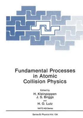 Kleinpoppen / Briggs / Lutz | Fundamental Processes in Atomic Collision Physics | E-Book | sack.de