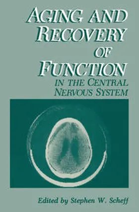 Scheff |  Aging and Recovery of Function in the Central Nervous System | eBook | Sack Fachmedien