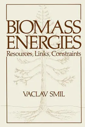 Smil | Biomass Energies | E-Book | www.sack.de