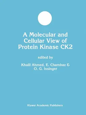 Ahmed / Issinger / Chambaz |  A Molecular and Cellular View of Protein Kinase CK2 | Buch |  Sack Fachmedien