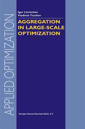 Tsurkov / Litvinchev | Aggregation in Large-Scale Optimization | Buch | 978-1-4613-4812-2 | sack.de