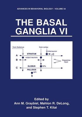 Graybiel / Kitai / Delong | The Basal Ganglia VI | Buch | 978-1-4613-4955-6 | sack.de
