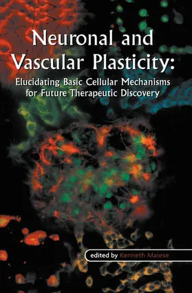 Maiese |  Neuronal and Vascular Plasticity | Buch |  Sack Fachmedien