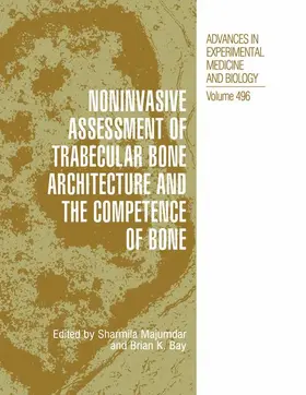 Bay / Majumdar | Noninvasive Assessment of Trabecular Bone Architecture and The Competence of Bone | Buch | 978-1-4613-5177-1 | www.sack.de