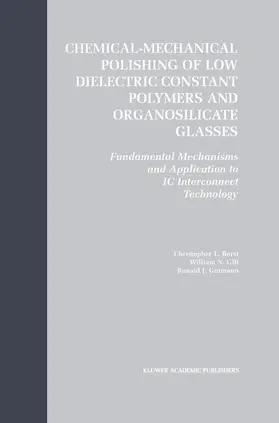 Borst / Gutmann / Gill |  Chemical-Mechanical Polishing of Low Dielectric Constant Polymers and Organosilicate Glasses | Buch |  Sack Fachmedien