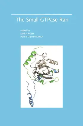 D'Eustachio / Rush |  The Small GTPase Ran | Buch |  Sack Fachmedien