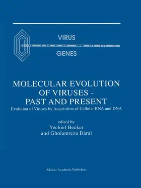 Darai / Becker |  Molecular Evolution of Viruses - Past and Present | Buch |  Sack Fachmedien