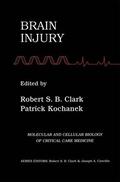 Kochanek / Clark |  Brain Injury | Buch |  Sack Fachmedien