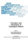 Brandenberger / Davis |  Formation and Interactions of Topological Defects | Buch |  Sack Fachmedien