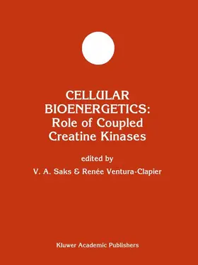 Ventura-Clapier / Saks |  Cellular Bioenergetics: Role of Coupled Creatine Kinases | Buch |  Sack Fachmedien