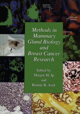 Asch / Ip |  Methods in Mammary Gland Biology and Breast Cancer Research | Buch |  Sack Fachmedien