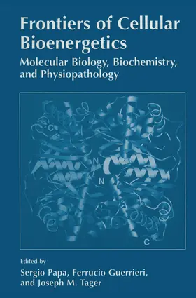 Papa / Guerrieri / Tager |  Frontiers of Cellular Bioenergetics | Buch |  Sack Fachmedien
