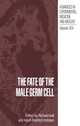 Ivell / Holstein |  The Fate of the Male Germ Cell | Buch |  Sack Fachmedien