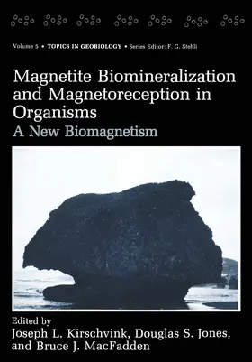 Kirschvink / MacFadden / Jones |  Magnetite Biomineralization and Magnetoreception in Organisms | Buch |  Sack Fachmedien