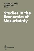 Seo / Fomby |  Studies in the Economics of Uncertainty | Buch |  Sack Fachmedien