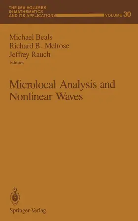 Beals / Rauch / Melrose |  Microlocal Analysis and Nonlinear Waves | Buch |  Sack Fachmedien
