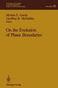 McFadden / Gurtin |  On the Evolution of Phase Boundaries | Buch |  Sack Fachmedien