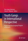 Esbensen / Maxson |  Youth Gangs in International Perspective | eBook | Sack Fachmedien