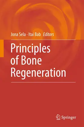Bab / Sela |  Principles of Bone Regeneration | Buch |  Sack Fachmedien