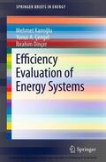 Kanoglu / Çengel / DinCer |  Efficiency Evaluation of Energy Systems | eBook | Sack Fachmedien