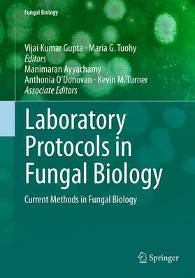 Gupta / Tuohy / Ayyachamy | Laboratory Protocols in Fungal Biology | E-Book | sack.de
