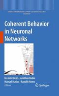Josic / Romo / Rubin |  Coherent Behavior in Neuronal Networks | Buch |  Sack Fachmedien