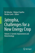Bahadur / Sujatha / Carels |  Jatropha, Challenges for a New Energy Crop | eBook | Sack Fachmedien