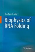 Russell |  Biophysics of RNA Folding | Buch |  Sack Fachmedien
