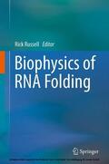 Russell |  Biophysics of RNA Folding | eBook | Sack Fachmedien