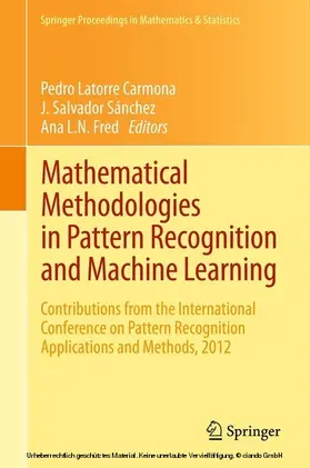 Latorre Carmona / Sánchez / Fred |  Mathematical Methodologies in Pattern Recognition and Machine Learning | eBook | Sack Fachmedien