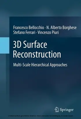Bellocchio / Borghese / Ferrari | 3D Surface Reconstruction | E-Book | sack.de