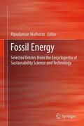 Malhotra |  Fossil Energy | eBook | Sack Fachmedien