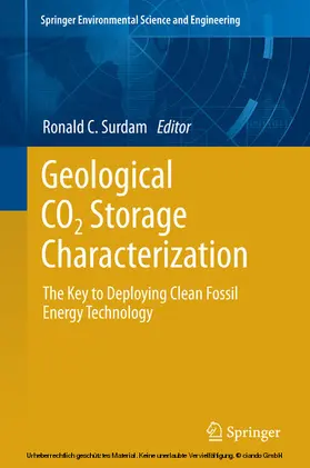 Surdam |  Geological CO2 Storage Characterization | eBook | Sack Fachmedien